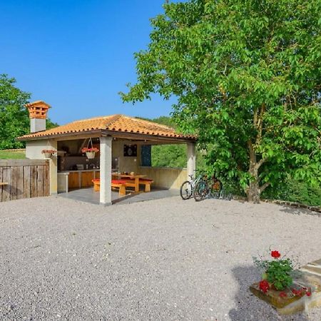 Guesthouse Gospodi Cerovlje 外观 照片